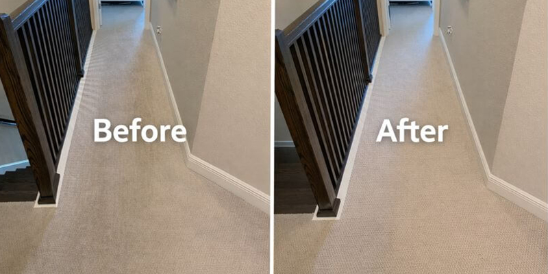 Carpet